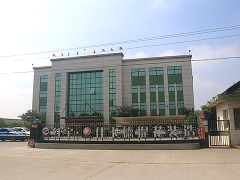 Image 01